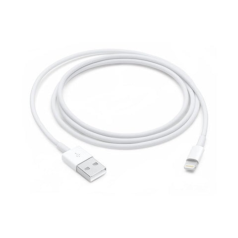 Apple USB To Lightning Cable